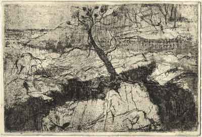 Ets van landschap