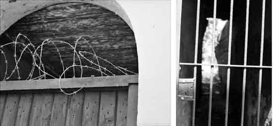 foto's serie hekken